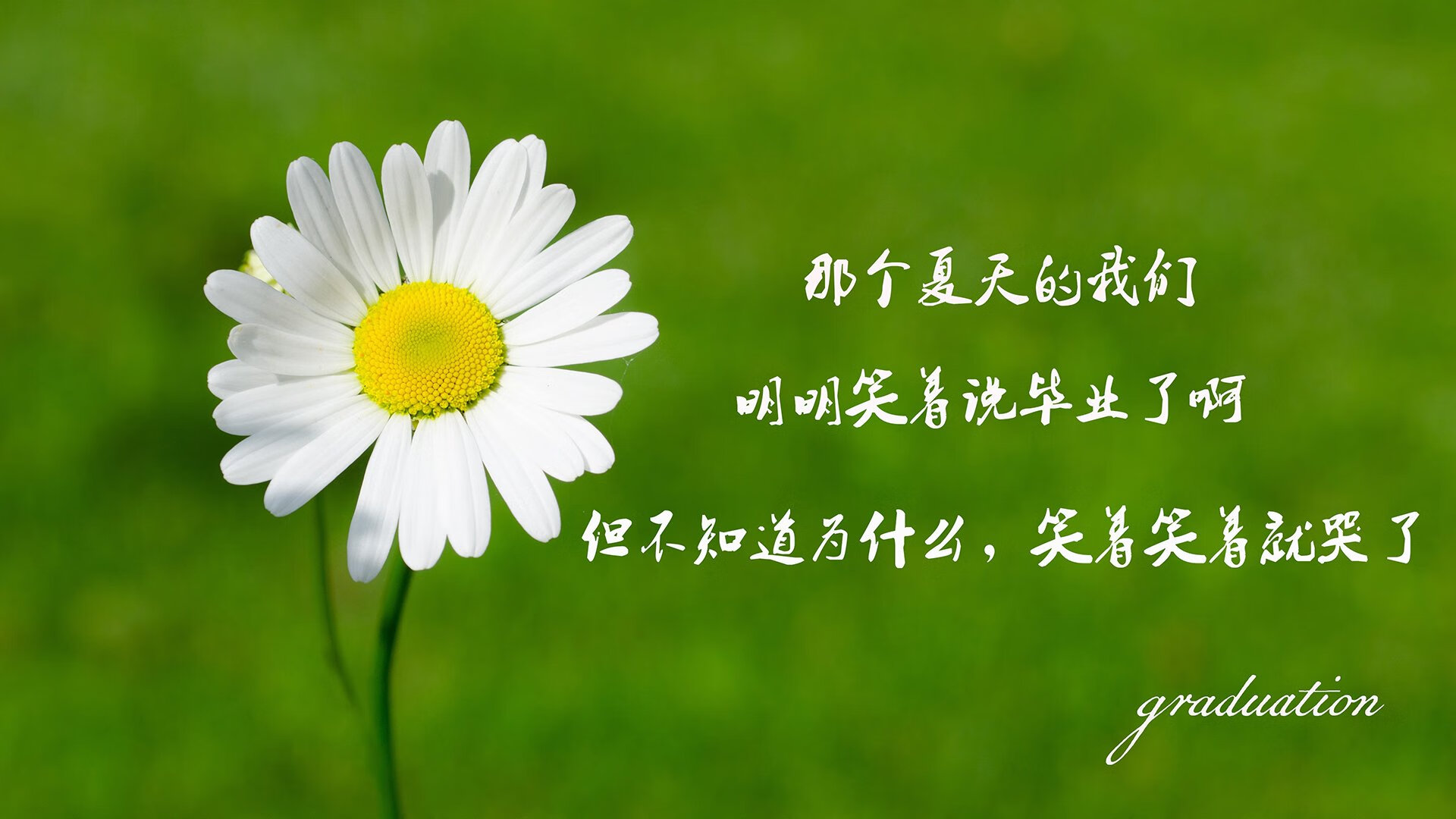 奥运周期关键战之夜，哈登节奏完全掌控